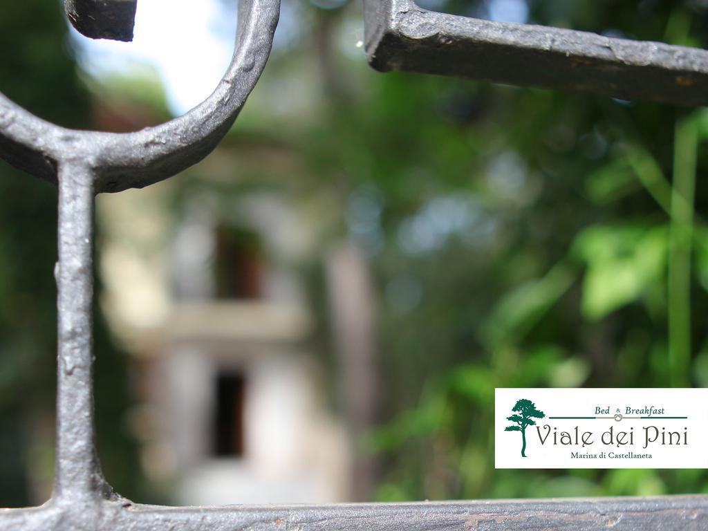 B&B Viale Dei Pini Кастелланета-Марина Экстерьер фото