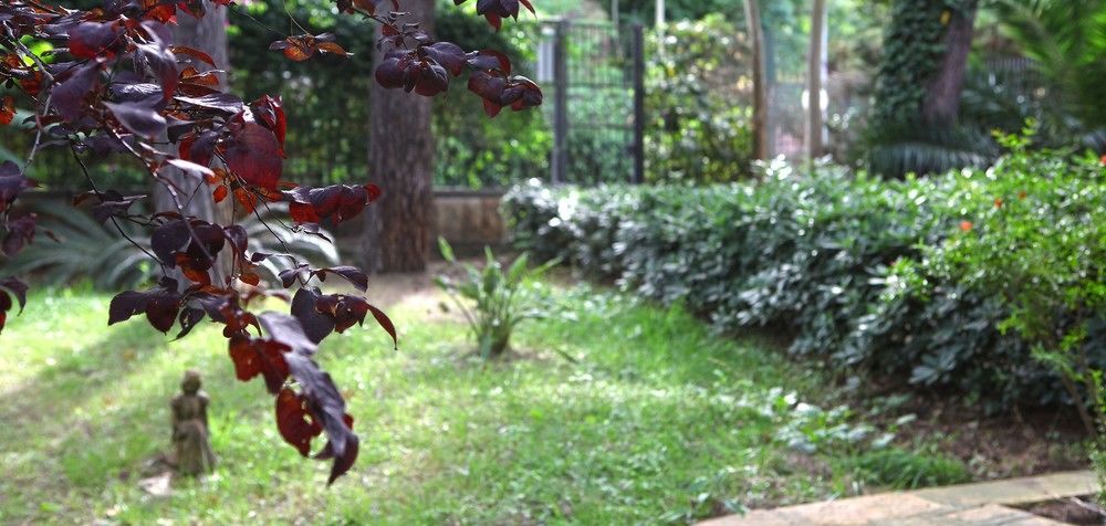 B&B Viale Dei Pini Кастелланета-Марина Экстерьер фото