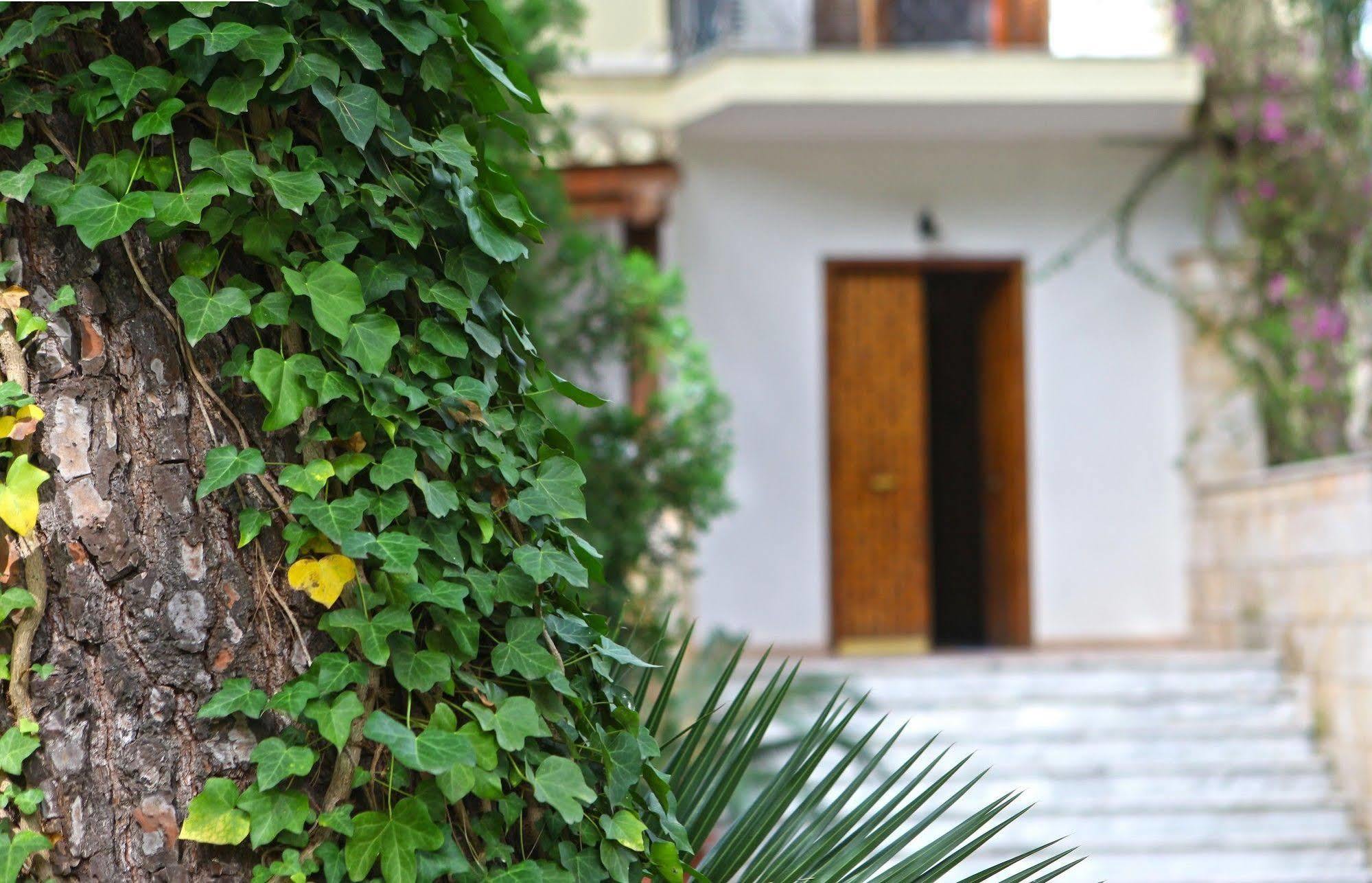 B&B Viale Dei Pini Кастелланета-Марина Экстерьер фото